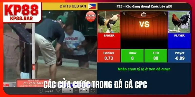 Các cửa cược trong đá gà CPC