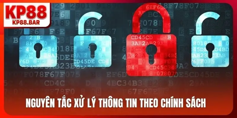 Nguyên tắc xử lý thông tin theo chính sách